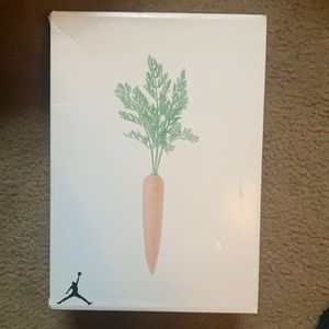 Jordan 6 hares slightly worn